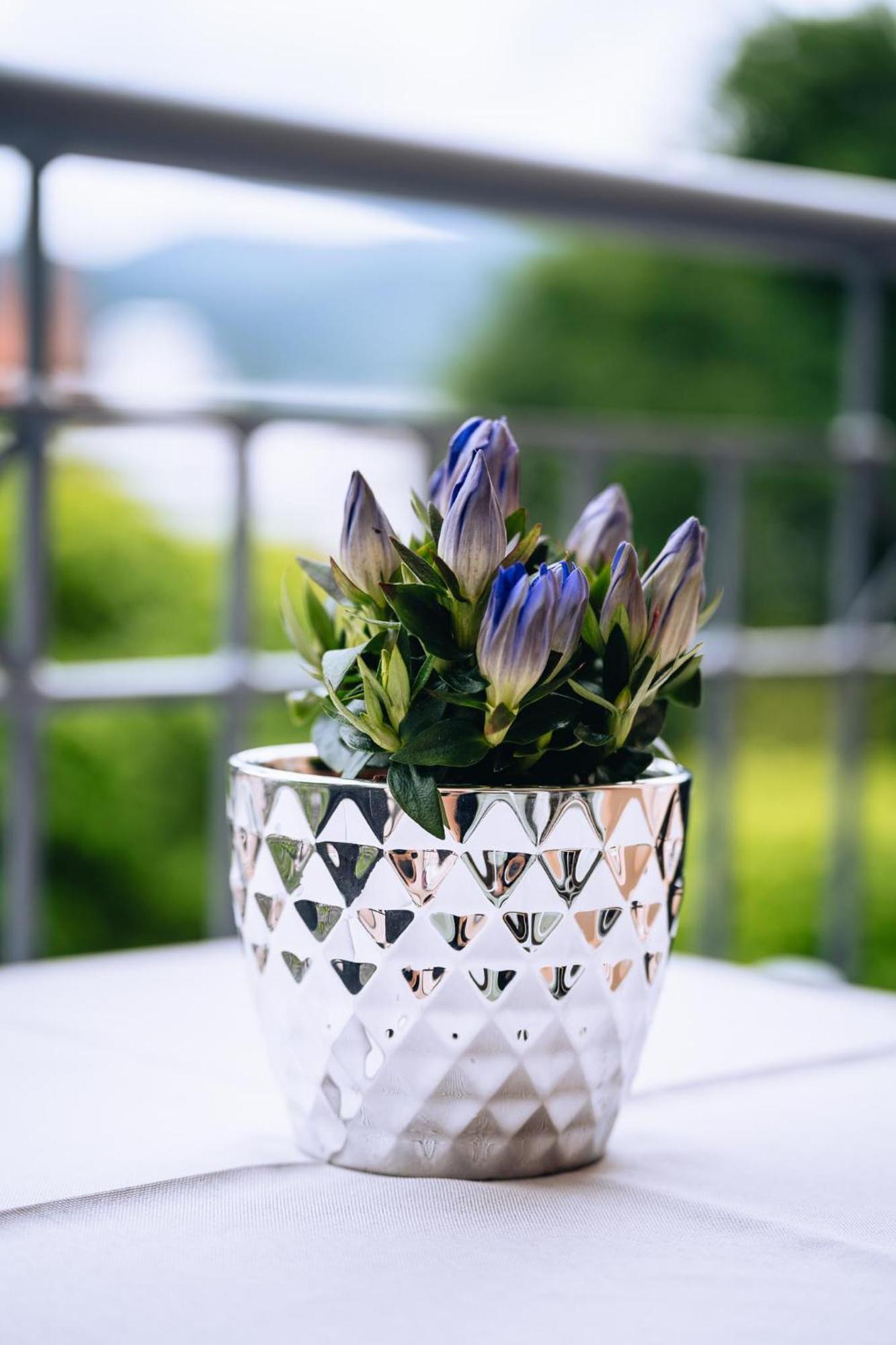 Ferienwohnungen Tivoli Bad Reichenhall Ngoại thất bức ảnh